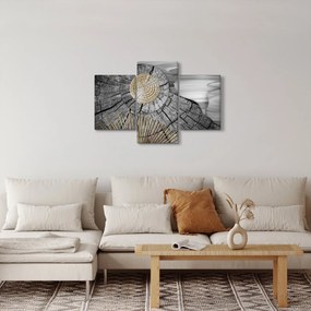 Obraz - Kmeň stromu v koláži (90x60 cm)