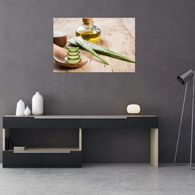 Obraz - Aloe vera (90x60 cm)