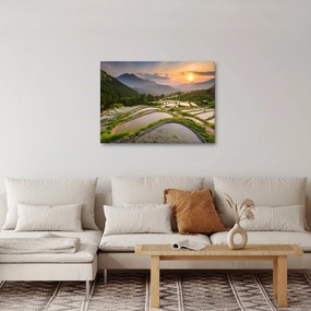 Obraz - Ryžové terasy (70x50 cm)