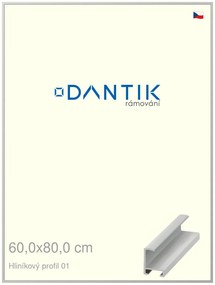 DANTIK rám na obraz 60x80 | ALU Stříbrná matná (Plexi Čiré)
