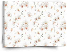 Sablio Obraz Biela orchidea - 150x110 cm