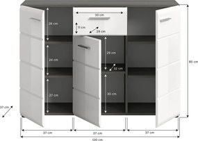 Komoda so zásuvkou Salsa, 120 cm, sivý dub/biely lesk