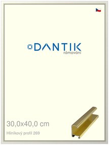 DANTIK rám na obraz 30x40 | ALU Zlatá lesklá (Plexi Čiré)