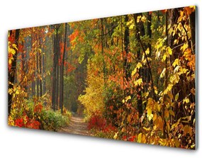 Sklenený obklad Do kuchyne Les príroda jeseň 125x50 cm
