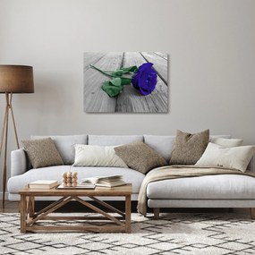 Sklenený obraz - Modrá ruža so zelenou stonkou (70x50 cm)