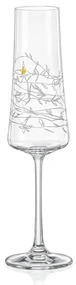 Crystalex GARDEN poháre na sekt 210 ml, 2 ks