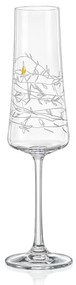Crystalex GARDEN poháre na sekt 210 ml, 2 ks