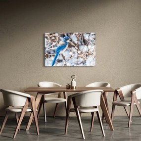 Obraz - Zimný vtáčik (90x60 cm)