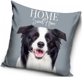Dekoračný vankúš Šteňa Border kólie - 40 x 40 cm
