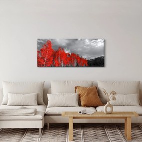 Obraz - Stromy vo farbe jesene (120x50 cm)