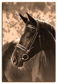 Obraz na plátne - Čierny kôň - obdĺžnik 7220FA (90x60 cm  )