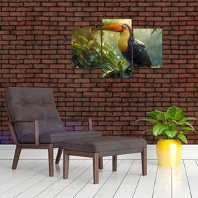 Obraz - Tukan (90x60 cm)