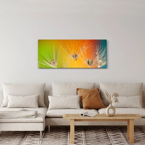 Obraz kvapiek na rastline (120x50 cm)