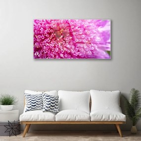 Obraz na akrylátovom skle Kvet 100x50 cm