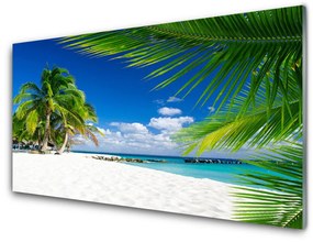 Skleneny obraz Tropická pláž more výhľad 100x50 cm