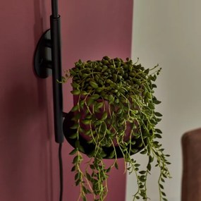 Endon 92726 - Nástenné svietidlo HALO 1xG9/3W/230V čierne