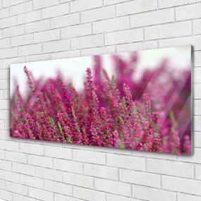 Obraz plexi Kvety lúka príroda 125x50 cm