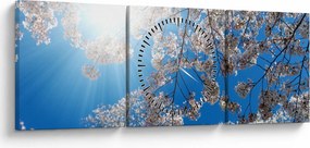Obraz - Čerešňové kvety (s hodinami) (90x30 cm)