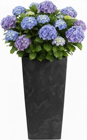 Květináč Porto 75x39,6 cm černý beton