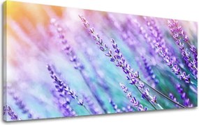 Obraz na stenu PANORÁMA KVETY KV064E13 - 60x120 cm