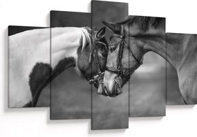 Obraz - Zamilované kone, čiernobiela (150x105 cm)