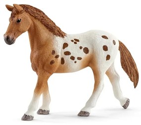 Schleich 42433 Appalosské kone a tréningové príslušenstvo, 7 ks