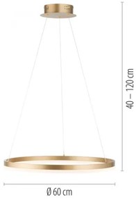 Paul Neuhaus 2382-60 - LED Stmievateľný luster na lanku TITUS LED/38,5W/230V