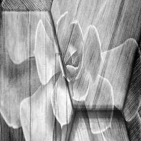 Ozdobný paraván, Tajemství šedi - 145x170 cm, štvordielny, korkový paraván