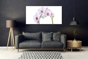 Obraz plexi Vstavač orchidea kvety 120x60 cm