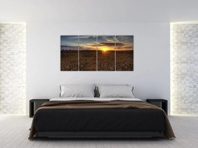 Západ slnka na poli - obraz na stenu