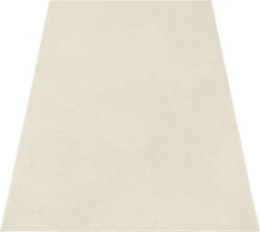 Koberec Birch 62 krémový / béžový