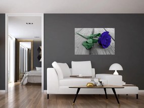 Obraz - Modrá ruža so zelenou stonkou (90x60 cm)