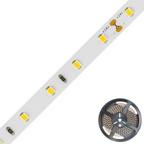 EVN STR2024 LED pásik IP20 5 m 24W 3 000 K