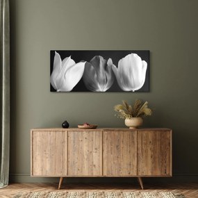 Obraz - Čiernobiele kvety tulipánov (120x50 cm)