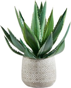 XXXLutz AGÁVA 33 cm - Kvety & kvetináče - 0068600002