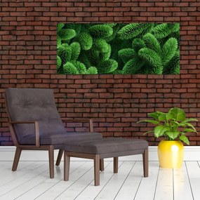 Obraz - Vetvičky ihličnanu (120x50 cm)