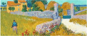 Obraz - Vincent van Gogh, Farmhouse in Provence, reprodukcia (120x50 cm)