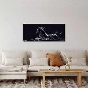 Obraz - Kôň a voda (120x50 cm)