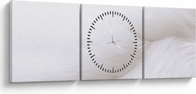 Obraz - Biele pierko (s hodinami) (90x30 cm)