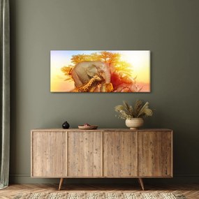 Obraz afrických zvieratiek (120x50 cm)