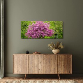 Obraz rozkvitnutého stromu na lúke (120x50 cm)