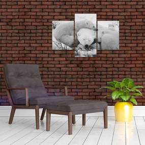 Obraz - Ľadové medvede (90x60 cm)