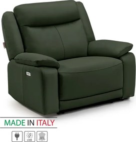 Kožené kreslo CONTINENTAL s elektrickou funkciou relax 1P, elektrické, zelená (green 321)