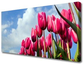 Obraz na plátne Tulipán 100x50 cm