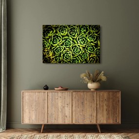 Obraz skalníc (90x60 cm)