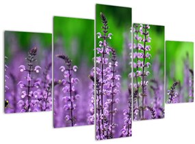 Obraz fialových lúčnych kvetov (150x105 cm)