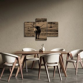 Obraz - Texaská krava (90x60 cm)