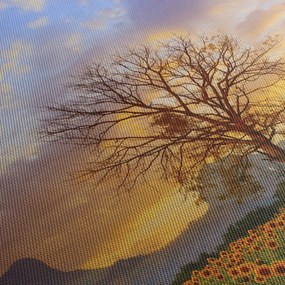 Obraz - Krajina so slnečnicami (90x60 cm)