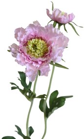 Ružová umelá scabiosa 40cm