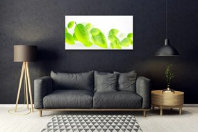 Obraz plexi Listy kvety príroda 100x50 cm
